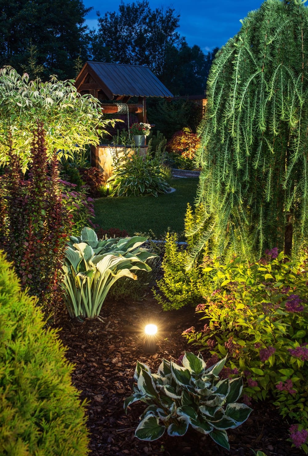 illuminated-garden-at-night-2026-03-24-05-26-36-utc