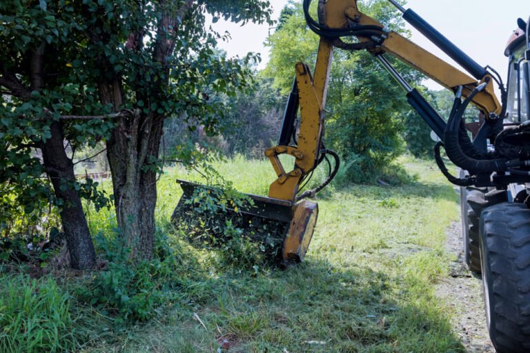 road-services-landscaping-around-roads-in-tractor-2026-03-24-23-53-42-utc
