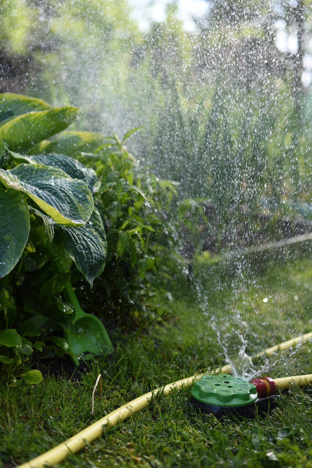 watering-the-garden-on-a-sunny-summer-day-drops-o-2026-03-15-23-27-01-utc