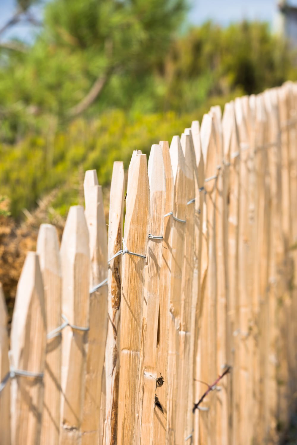 wooden-fence-on-atlantic-beach-in-france-2026-03-18-13-50-08-utc