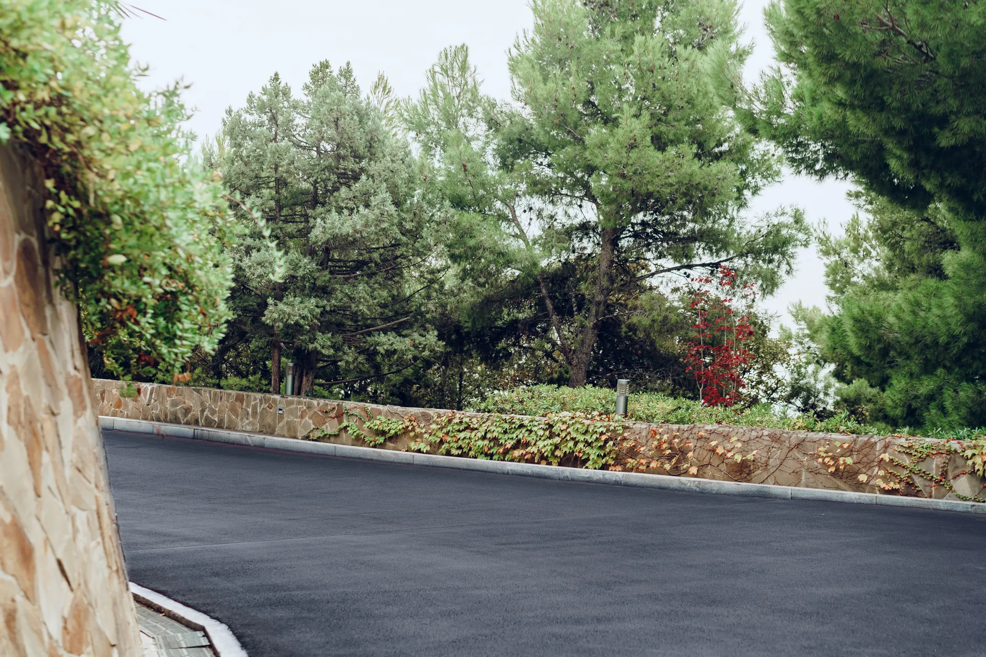 asphalt-road-surrounded-by-green-foliage-and-trees-2026-01-08-22-36-51-utc